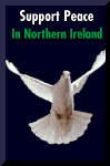 Support the peace campaign for Northern Ireland